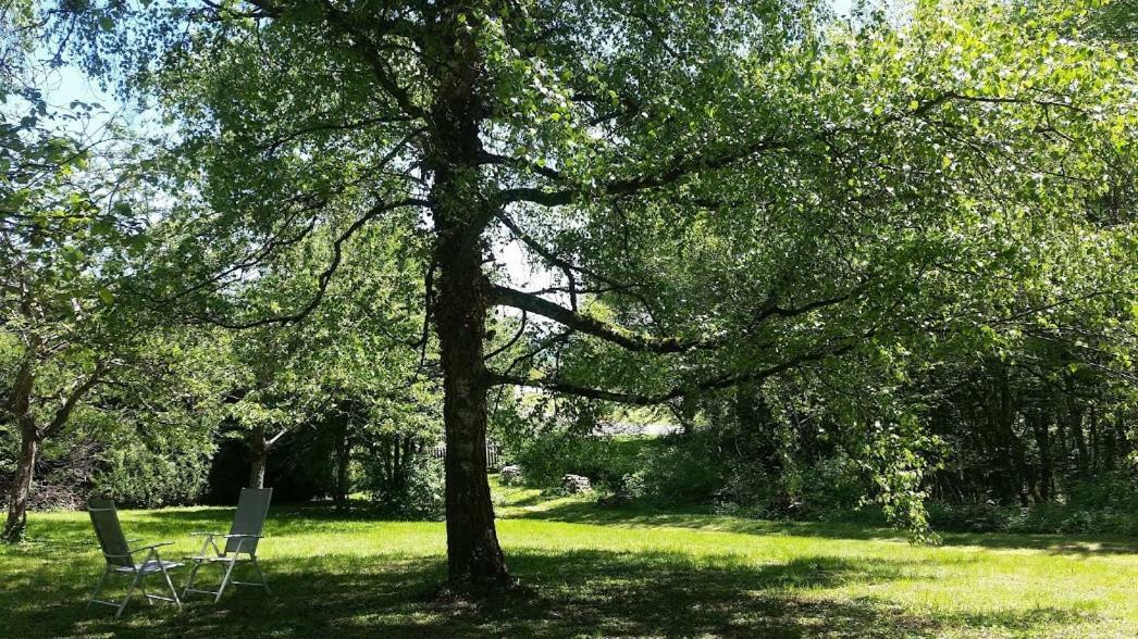 Le Cèdre enchanté La Guiche Exterior foto
