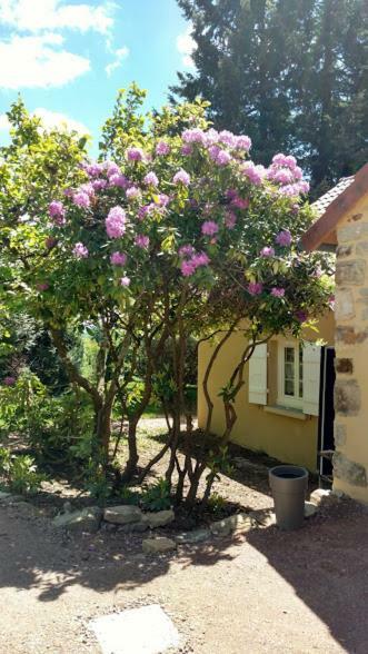 Le Cèdre enchanté La Guiche Exterior foto